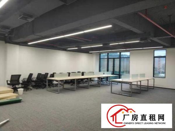  塘坑新出电商贸易厂房520平现成装修拎包入驻
