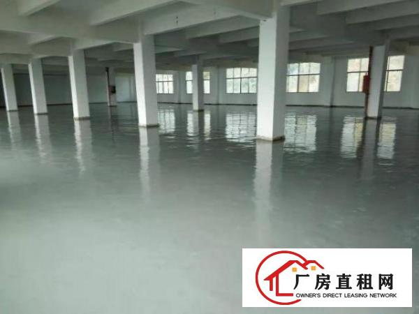  横岗地铁站房东厂房招租，价格优惠！大小面积都有！