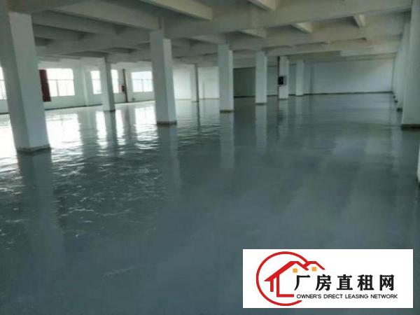  横岗地铁站房东厂房招租，价格优惠！大小面积都有！