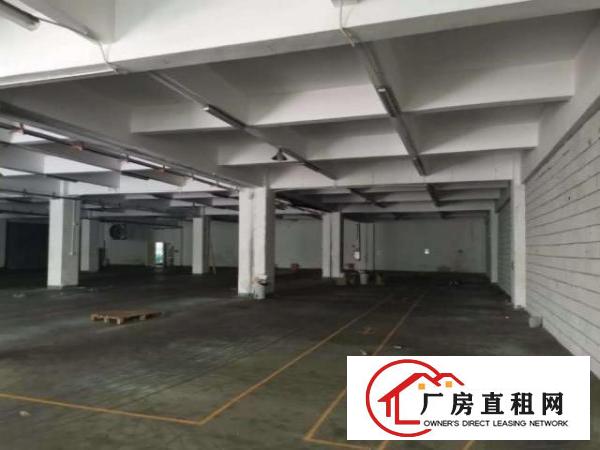  横岗一楼2080平厂房出租豪华装修超大停车场