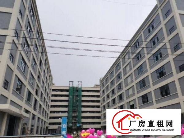  横岗六约社区厂房1000平精装办公室厂房出租