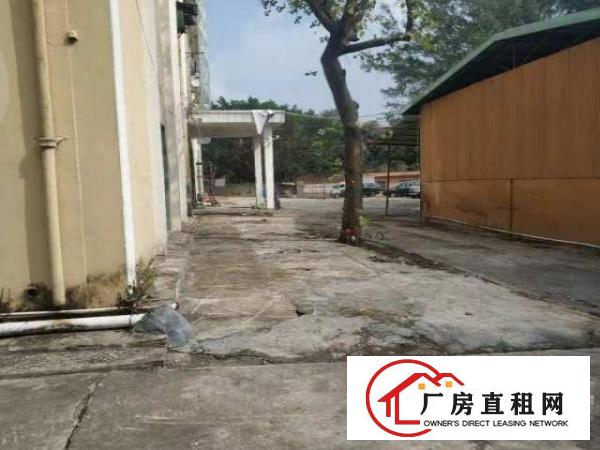  横岗地铁站一楼1100平无公摊一口价27元，真实有效