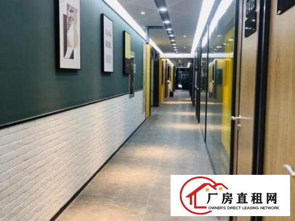  特价直租！龙岗办公室可申请场租补贴，配合银行开户场地红本