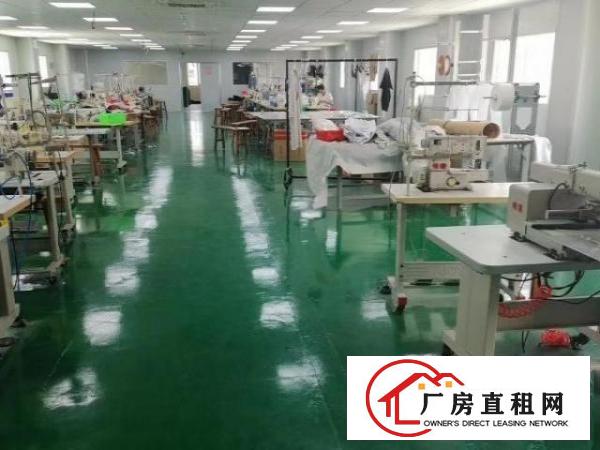 横岗六约精装修厂房仓库出租