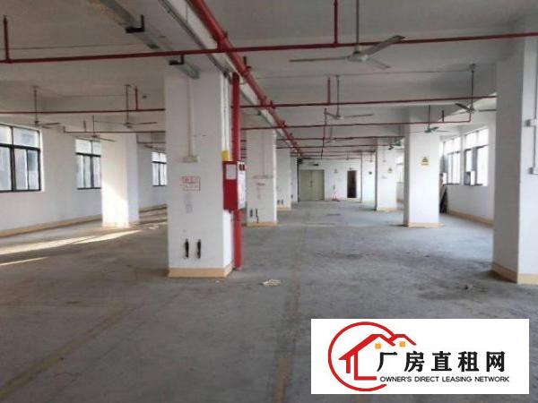  横岗楼上整层面积950方，现成水电线路办公室装修