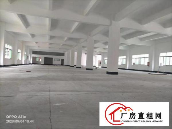  横岗六约新出精装修1200平厂房仓库出租