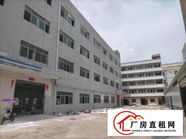 横岗六约新出精装修1200平厂房仓库出租