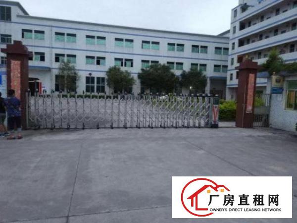  横岗荷坳工业区1800平米独栋厂房出租