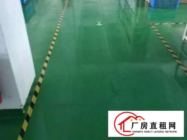  横岗街道办旁电子无尘车间分租500平