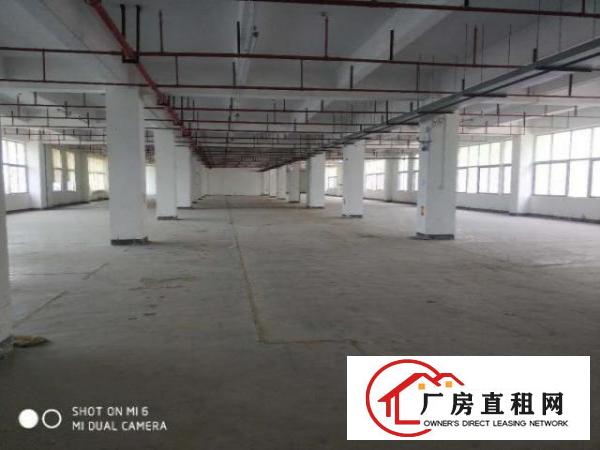  横岗大康标准厂房三楼带电梯1200平招租