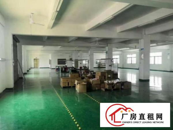  六约二楼厂房1000平方，无公摊，可分租