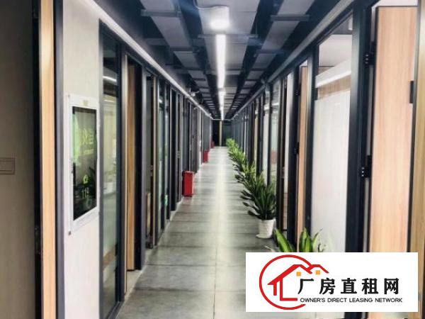  拎包入驻！龙岗精装写字楼小型办公室招租，可注册！