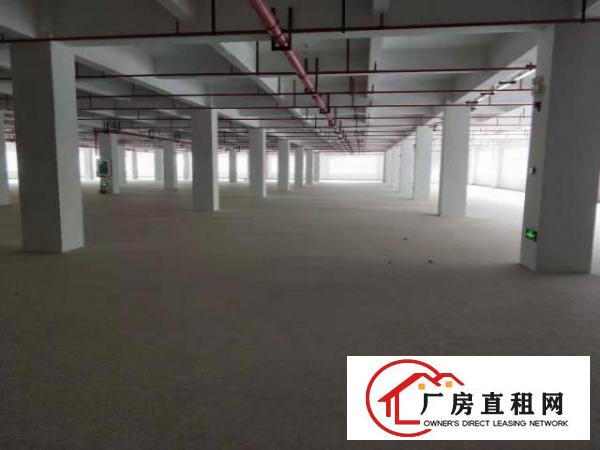  物业直租横岗四联排榜路一楼500平厂房仓库出租