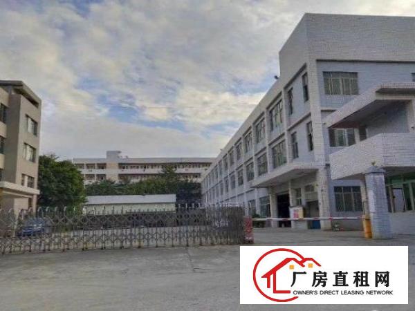  横岗新光村楼上300平米厂房低价出租，有空地