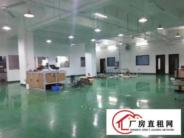  横岗大万工业区楼上新出800平厂房，即租即用