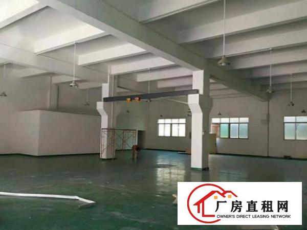  横岗沙荷路1楼厂房500平方高6米