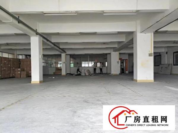  龙岗大道排，原房东500平实际面积出租，适合各种行业。