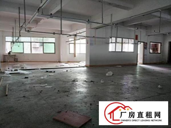  龙岗大道排，原房东500平实际面积出租，适合各种行业。