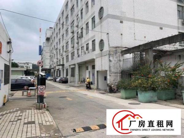 塘坑地铁站旁3楼2800平100平起租