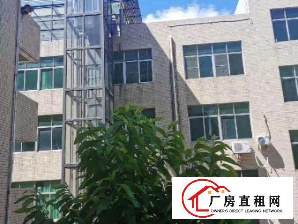  横岗花园式独门独院厂房招租