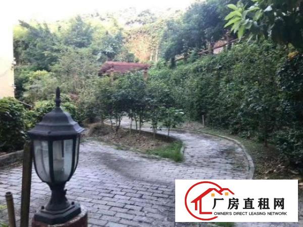  横岗花园式独门独院厂房招租