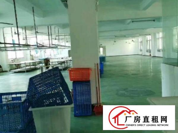  横岗花园式独门独院厂房招租