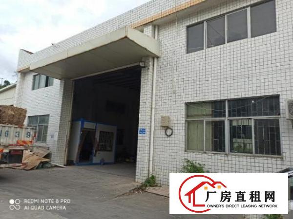  厂房出租单一层一楼钢构厂房620平适合各种行业龙岗区横岗