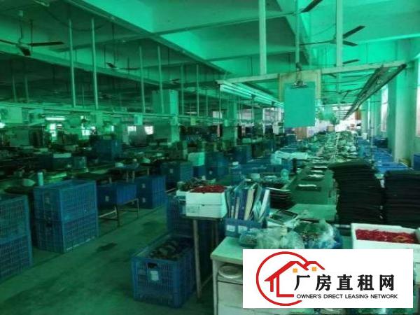  塘坑地铁站三楼1200平，超大型升降梯.汽车能放上楼.