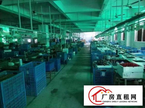  塘坑地铁站三楼1200平，超大型升降梯.汽车能放上楼.