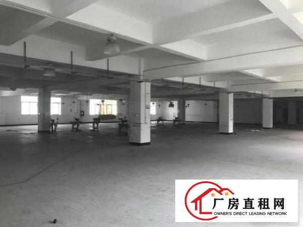  六约麻地街一楼330平方30元仓库出租
