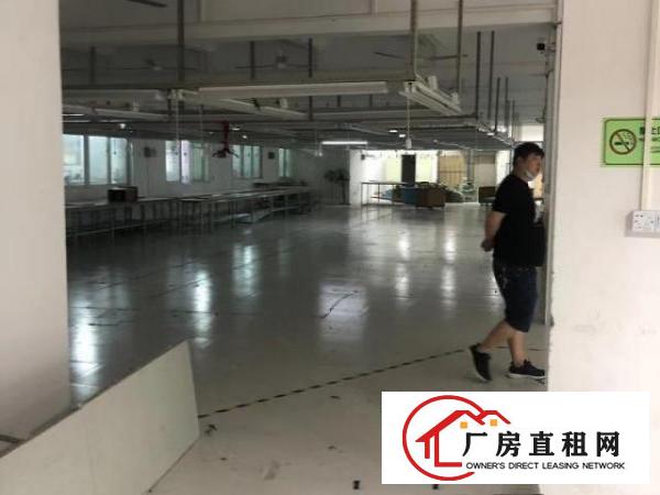  服装厂聚集地现成服装厂装修厂房大小招分租