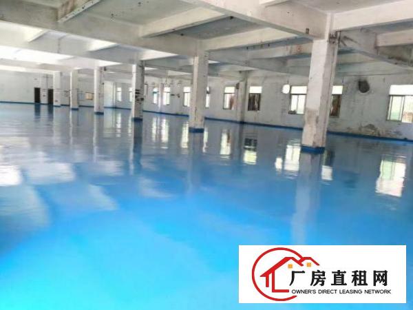  横岗大康新出独院厂房6000㎡