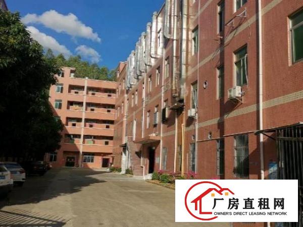  横岗大康新出独院厂房6000㎡