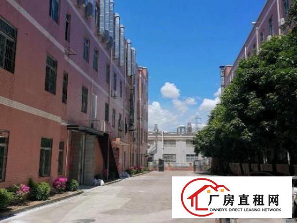  横岗大康新出独院厂房6000㎡