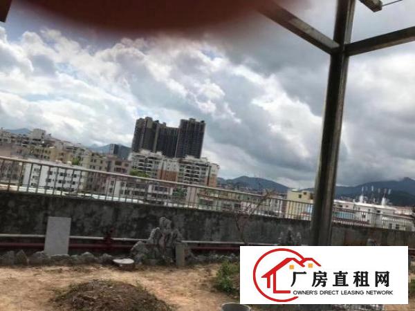  原房东厂房顶楼，独享空中花园