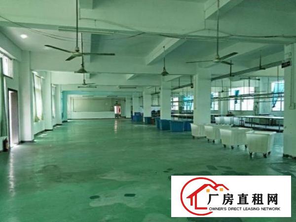  永湖地铁站旁龙岗大道排独门独院