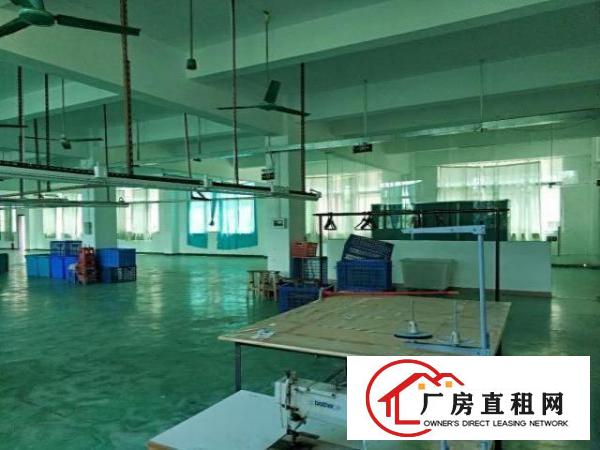  永湖地铁站旁龙岗大道排独门独院