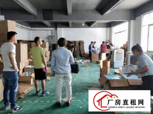  沙荷路招租实际面积厂房480平方，无公摊，精装修