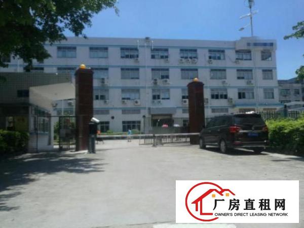  精装修横岗荷坳二楼1000平带电梯无需装让费