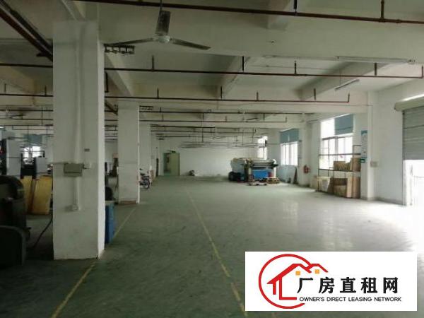  精装修横岗荷坳二楼1000平带电梯无需装让费