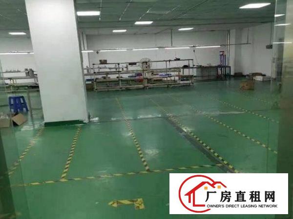  沙荷路2楼带装修560平方厂房出租
