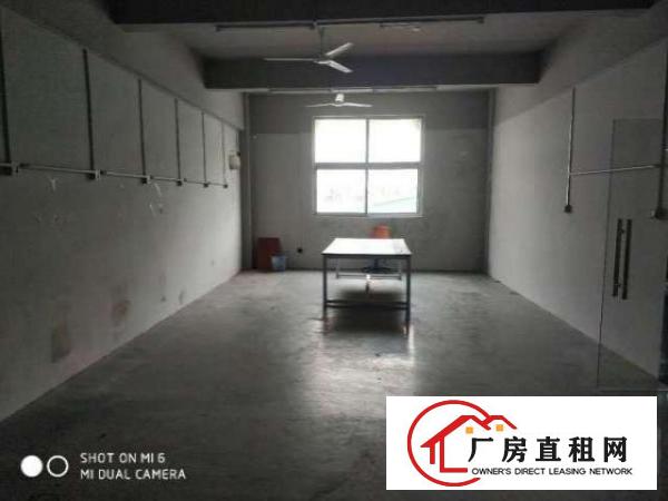  塘坑地铁口1楼230平2楼248平3楼130平电商办公加仓库