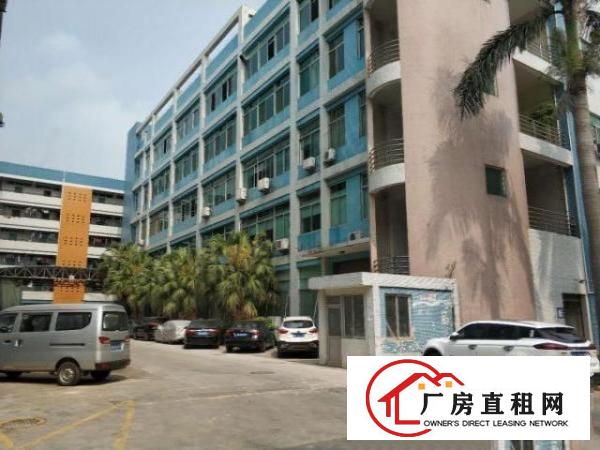  横岗沙荷路新出独栋独院标准原房东厂房