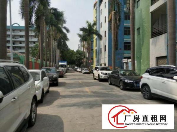  横岗沙荷路新出独栋独院标准原房东厂房