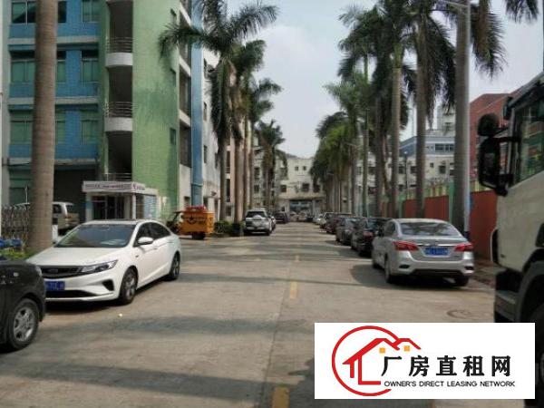  横岗沙荷路新出独栋独院标准原房东厂房