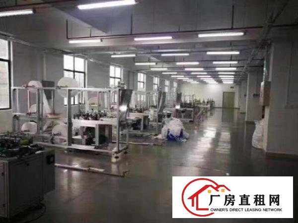  横岗广达路边全新产业园900平合电商，办公，仓储，物流，生产