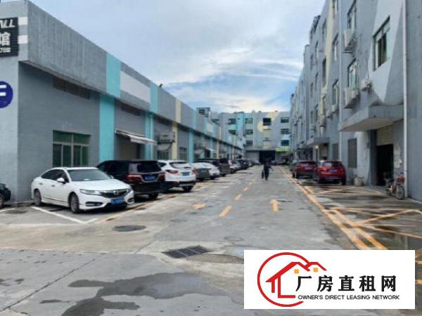  横岗安良主干道现成主干道独院钢构已装修，现成篮球馆水电齐