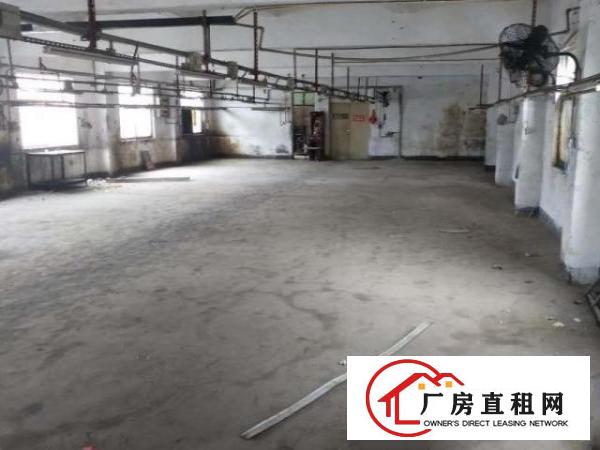  房东本人出租沙荷路独院带电梯厂房
