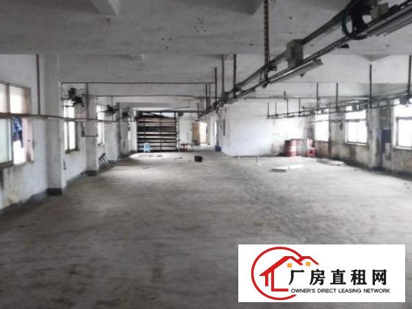  房东本人出租沙荷路独院带电梯厂房