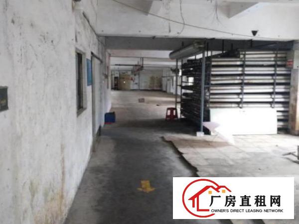  房东本人出租沙荷路独院带电梯厂房